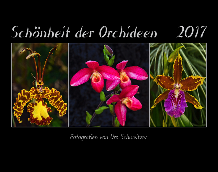 orchideen_2017_titel.jpg