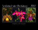 Orchideen_2017_Titel.jpg